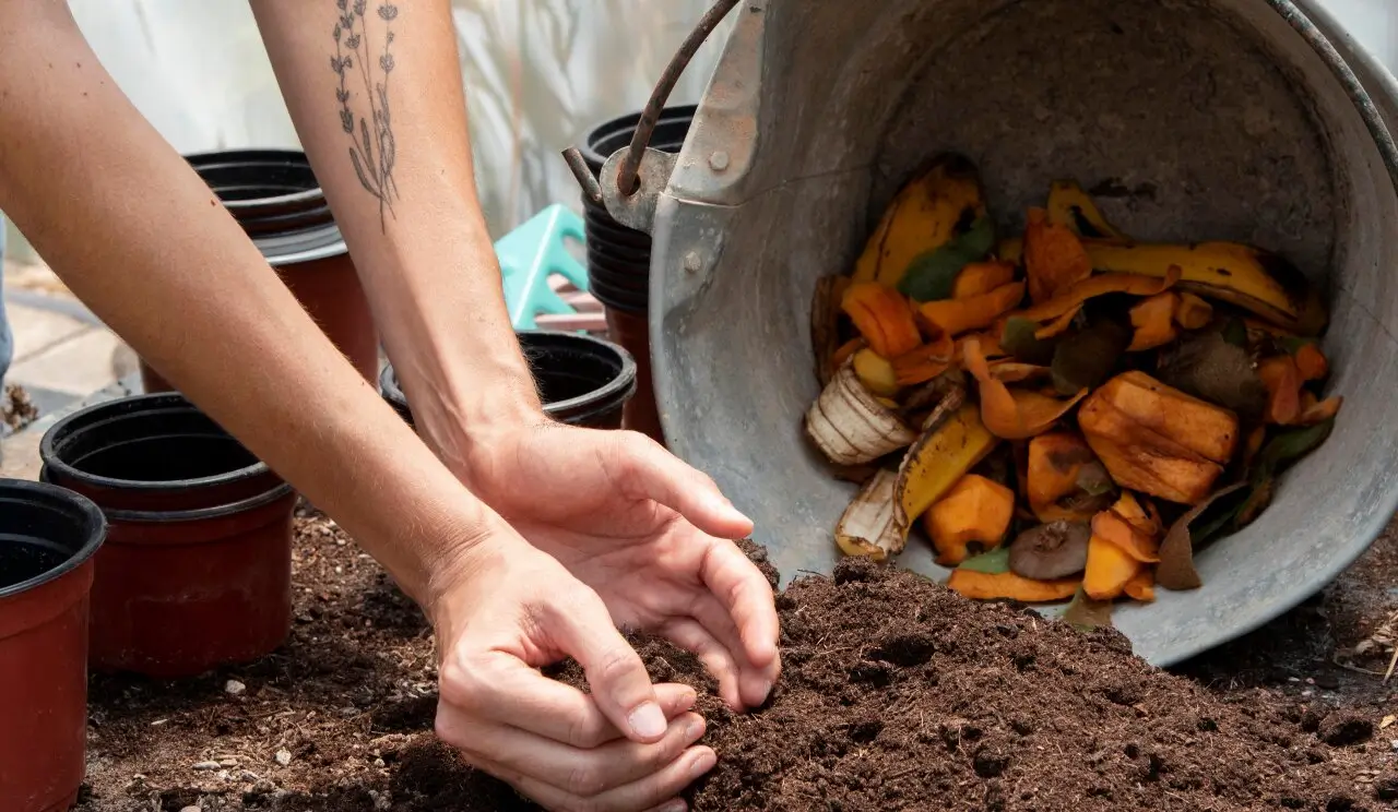compostando